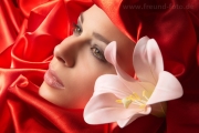 Lilien Beauty Aufnahmen im Studio