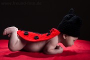 Maikäfer Outfit Kinder Fotoshooting, richtig süße Fotos