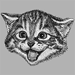 Katze Gewinnspiel 2020
