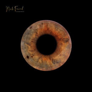 Iris Fotograf in Fürth bei Nürnberg