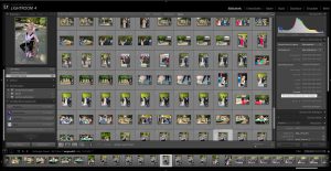 Lightroom Bildoptimierung