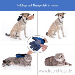 Produktfotografie für Tiere Katzen und Hunde amazon ebay