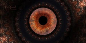 Deine Iris in einzigartiger Form Universum Fraktal mit Iris Aufnahme